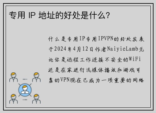 专用 IP 地址的好处是什么？ 